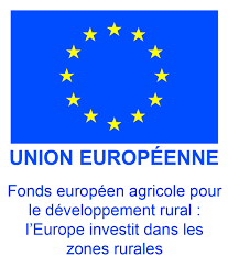Logo de la certification environnementale européenne